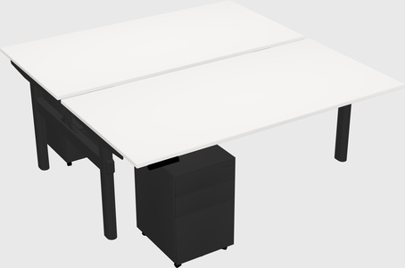 Shared electric desk