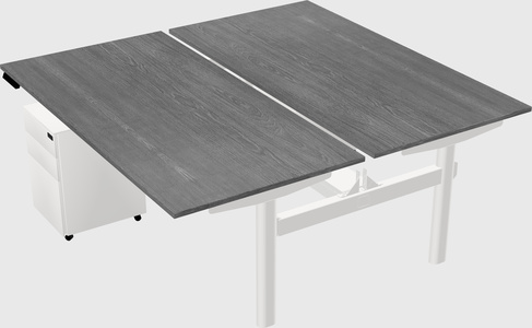 Shared electric desk