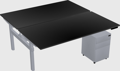 Shared electric desk