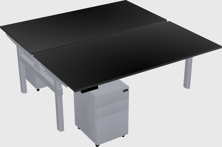 Shared electric desk