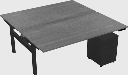 Shared electric desk