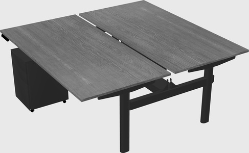 Shared electric desk