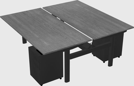 Shared electric desk
