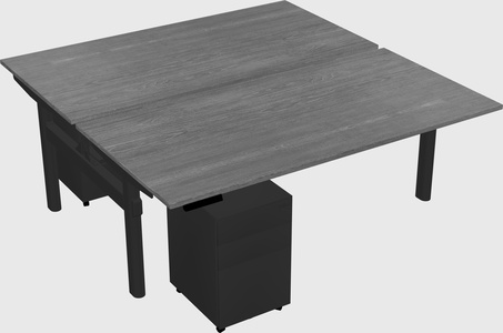 Shared electric desk