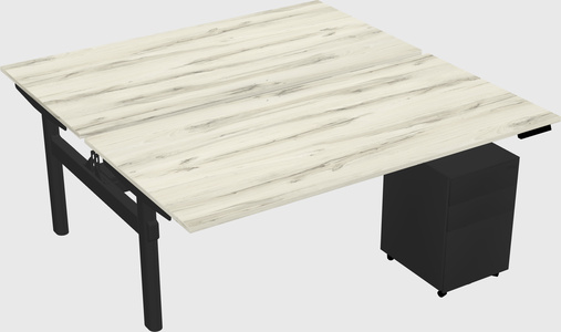 Shared electric desk