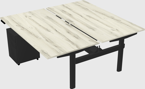 Shared electric desk
