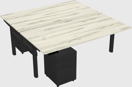 Shared electric desk