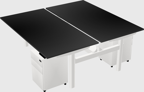 Shared electric desk