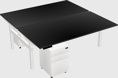 Shared electric desk
