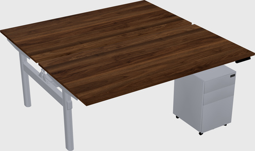Shared electric desk