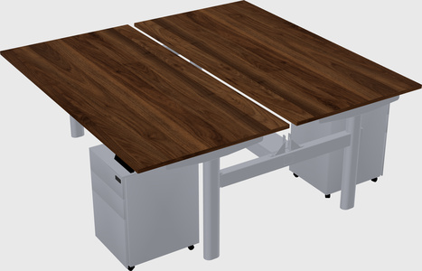 Shared electric desk