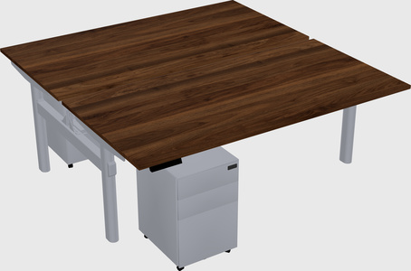 Shared electric desk