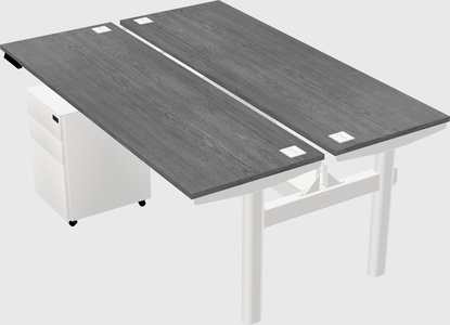 Shared electric desk