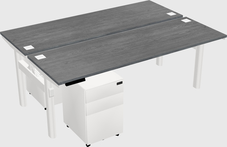 Shared electric desk