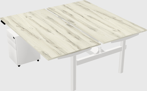Shared electric desk