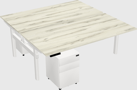 Shared electric desk