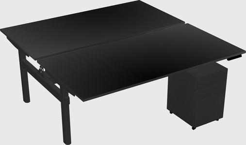 Shared electric desk