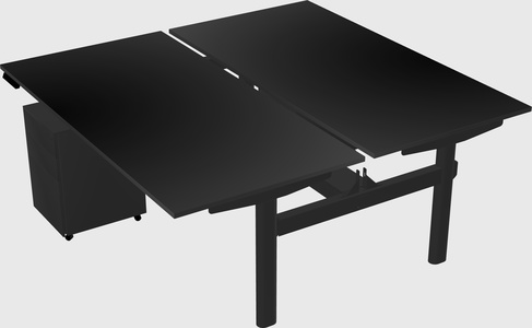 Shared electric desk