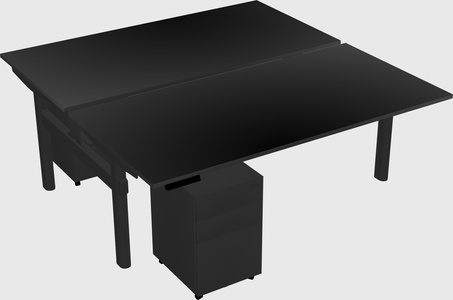Shared electric desk