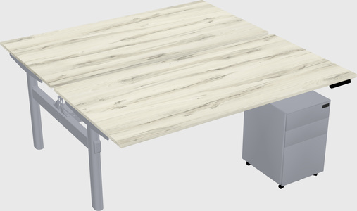 Shared electric desk