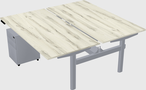 Shared electric desk