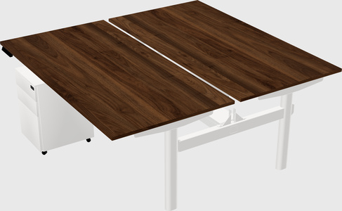 Shared electric desk