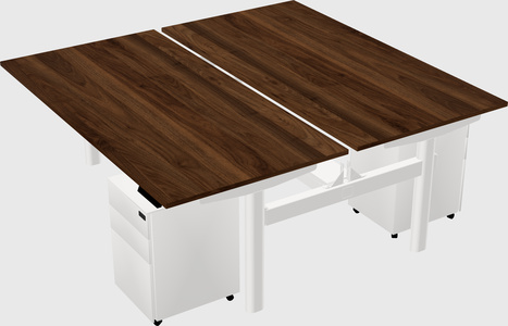 Shared electric desk