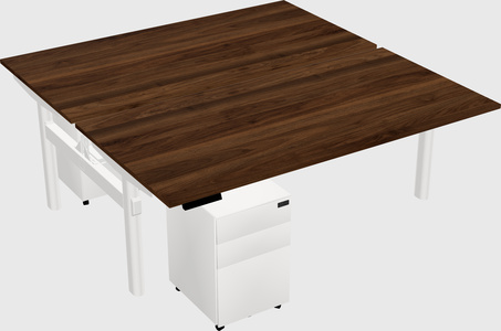 Shared electric desk