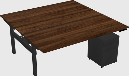 Shared electric desk