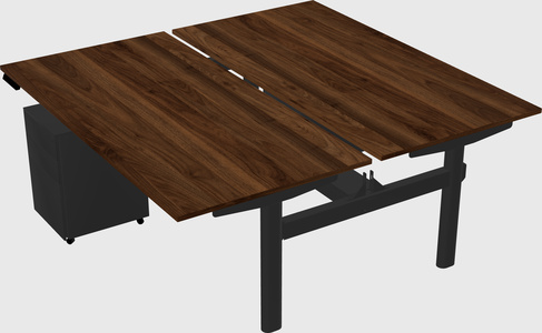 Shared electric desk