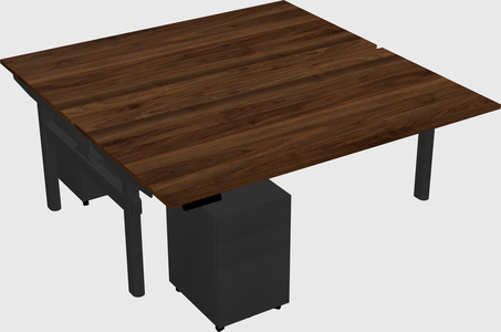 Shared electric desk