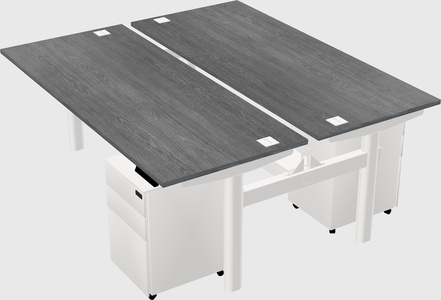 Shared electric desk