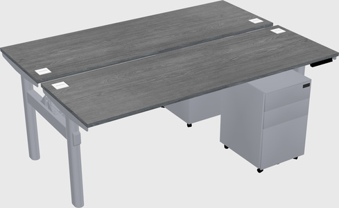 Shared electric desk