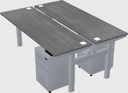 Shared electric desk