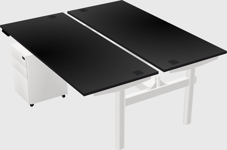 Shared electric desk