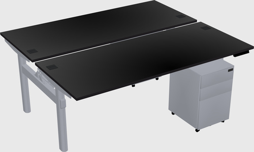 Shared electric desk