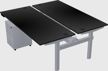 Shared electric desk