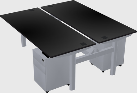 Shared electric desk