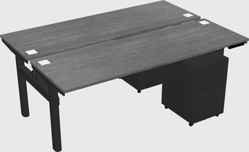 Shared electric desk
