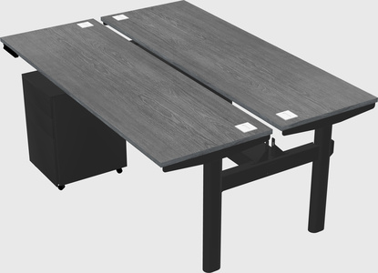 Shared electric desk