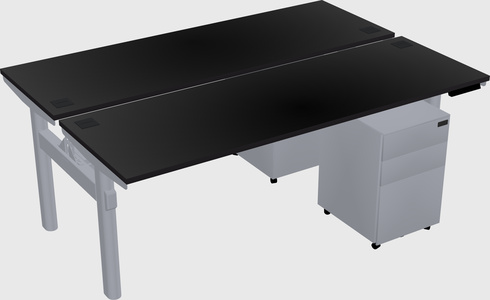 Shared electric desk