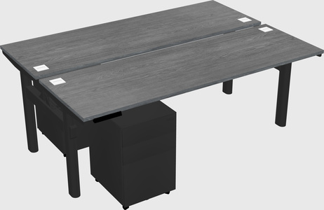 Shared electric desk