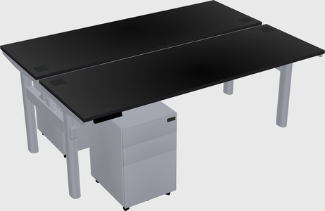 Shared electric desk