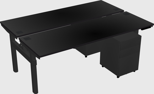 Shared electric desk