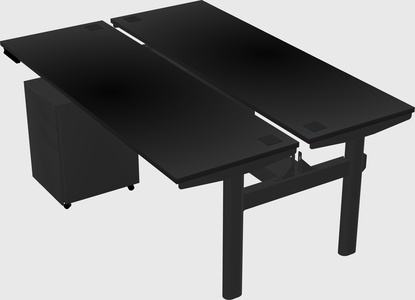 Shared electric desk