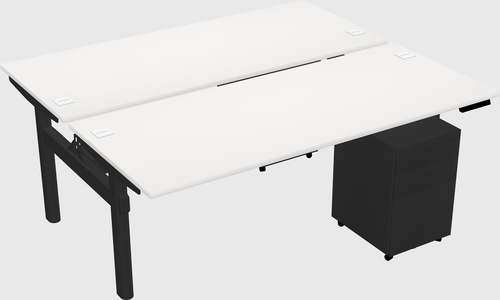 Shared electric desk