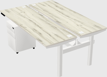 Shared electric desk