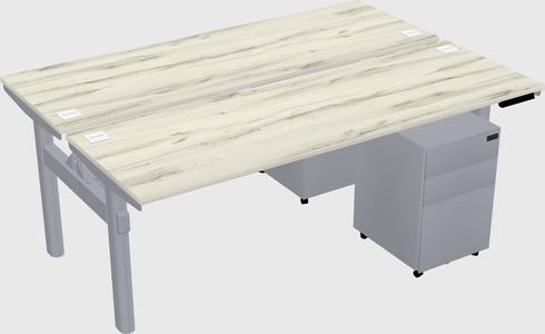Shared electric desk