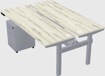 Shared electric desk