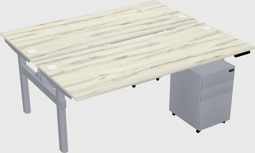 Shared electric desk
